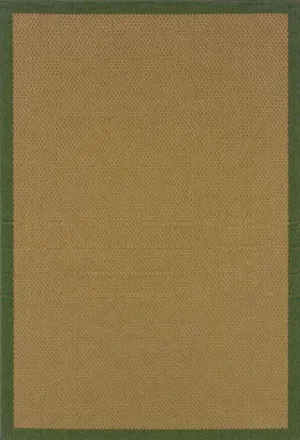 Lanai 525G Beige/ Green Rug